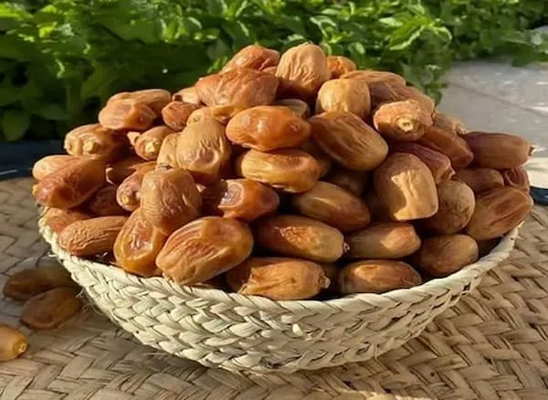 راهنمای خرید خرما عسلی کبکاب  + قیمت عالی